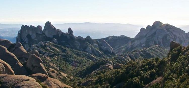 Cursos de orientación y biología